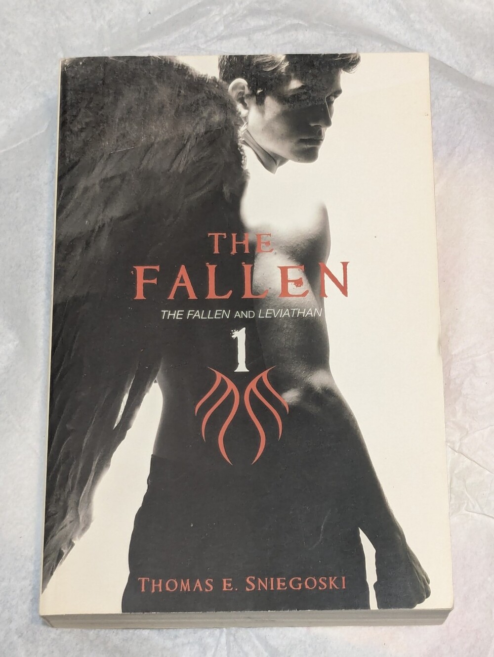 The Fallen by Thomas E. Sniegoski Book
